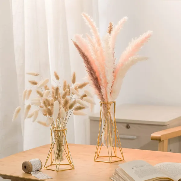 Multicolor_Flower_Vase_For_Centerpieces_Gold_Geometric_Vase_Air_Plant_Stand,_Hydroponic_Plant_Flower_Vase_Glass_Test_Tube,_Modern_Decor(2_Pcs,_Medium)_10L_x_10W_x_22H_Centimeters