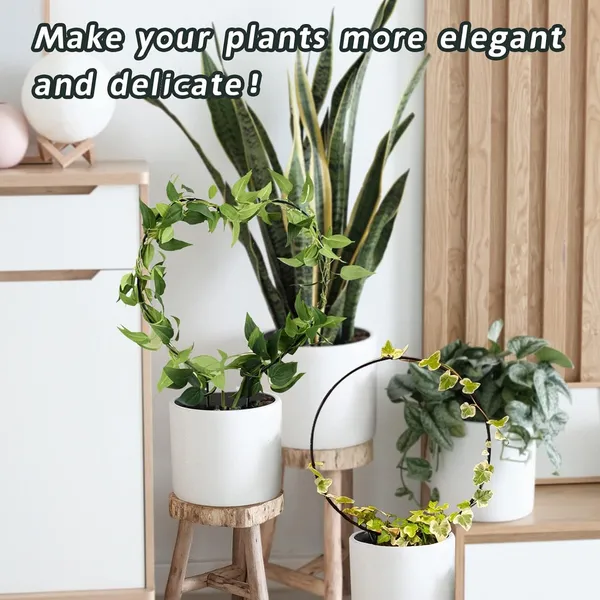 Black_Metal_Plant_Trellis_Climbing_Plants_Iron_Vine_Stem_Support_Wire_Plants_Climbing_Holder_Rack_Potted_Plants_Flowers_Indoor_Garden_Decor_Vertical_Gardening_Plant_Support_(2_+2_Hearts)