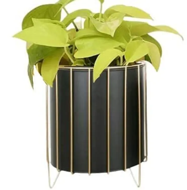 White_Modern_Style_Planter_Stand_With_Pot_Natural_Look_Of_Wrought_Iron_Rustproof_Iron_Metal_Excellent_Finish_For_Drawing_Room__17.8_x_17.8_x_22.9_Centimeters