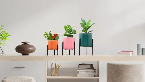 Orange_&_Pink_&_Green_&_Black__Planters_For_Indoor_Planters_Indoor_Plant_Stands_With_Pots_(Small_Stand_S3)_25_x_25_x_30_Centimeters