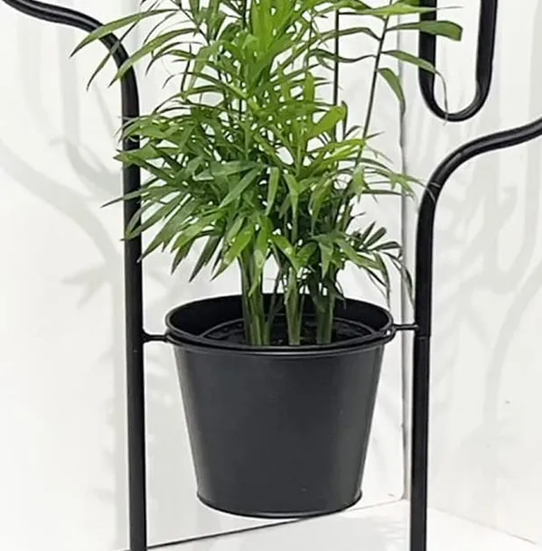 Black_Plant_Stand_With_Metal_Pot_Indoor_Plants,_Christmas_Plants,_Porch,_Hanging_Wall_Sculpture_Living_Room_(Cat_Gold)____10L_x_25W_x_30H_Centimeters