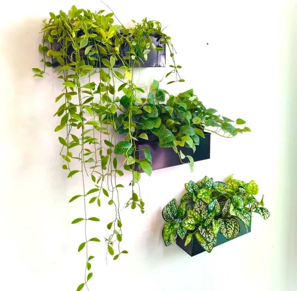 Black_Wall_Planter_3_Pack,_12_Inch_Rectangle_Metal_Flower_Pot_Window_Planter_Box_Fence_Railings_Minimalist_Floating_Shelve_Indoor_Outdoor____10L_x_30W_x_9H_Centimeters