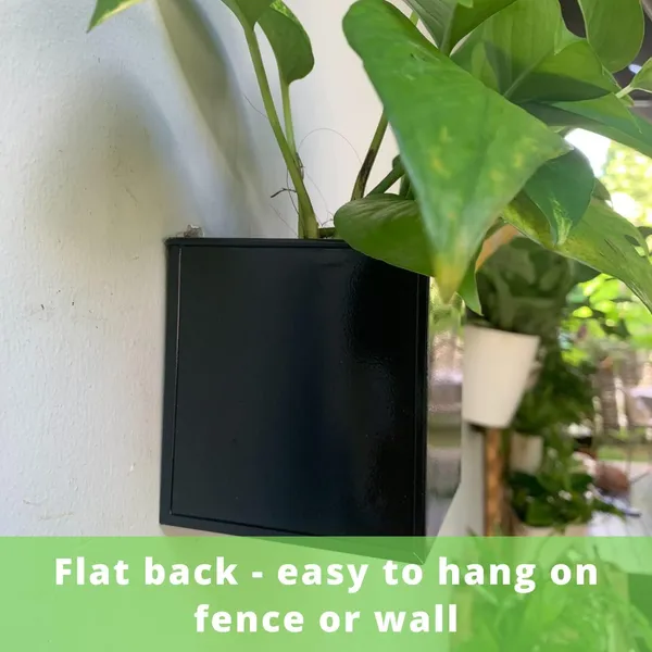 Black_Wall_Planter_6-Pack_4_Inch_Square_Metal_Wall_Planters_For_Indoor_And_Outdoor_Plants,_Small_White_Hanging_Flower_Pots_For_Balcony,_Herb_Garden_Decor,_Patio,_10L_x_10W_x_10H_Centimeters