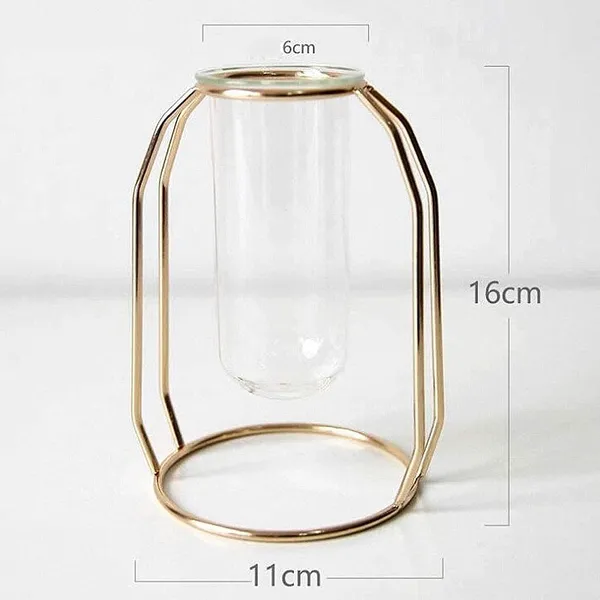 Gold_Wire_Vase_With_Clear_Glass_Test_Tube,_Tabletop_Decoration_And_Centerpiece_For_Home,_Office,_Modern_Vases_For_Flowers_Decorative_Art_Table_Vase____11L_x_11W_x_24H_Centimeters