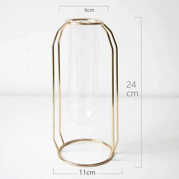 Gold_Wire_Vase_With_Clear_Glass_Test_Tube,_Tabletop_Decoration_And_Centerpiece_For_Home,_Office,_Modern_Vases_For_Flowers_Decorative_Art_Table_Vase____11L_x_11W_x_24H_Centimeters