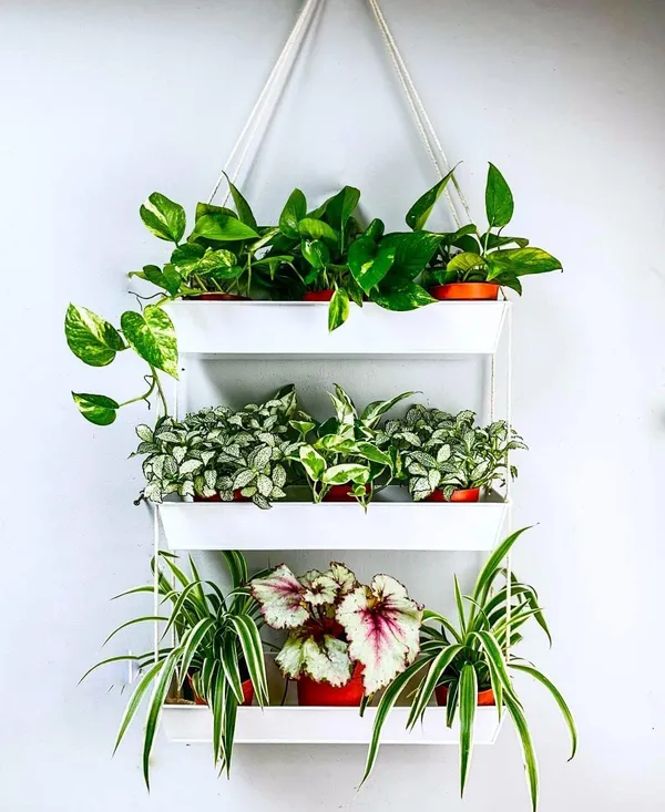 White_Wall_Planters_-_16_Inch_3-Tier_Galvanized_Wall-Mounted_Succulent_Planters_Boho_Metal_Window_Herb_Garden,_Rectangle_Hanging_Vertical_Shelf_Shower_Plant_Pot_11_x_6_x_16_Centimeters