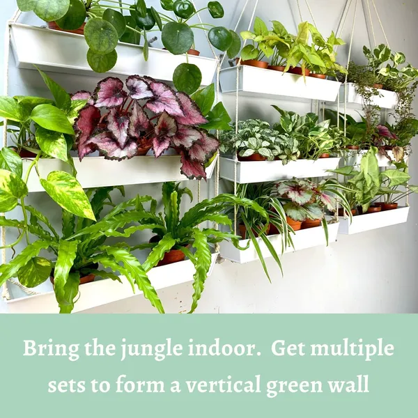 White_Wall_Planters_-_16_Inch_3-Tier_Galvanized_Wall-Mounted_Succulent_Planters_Boho_Metal_Window_Herb_Garden,_Rectangle_Hanging_Vertical_Shelf_Shower_Plant_Pot_11_x_6_x_16_Centimeters