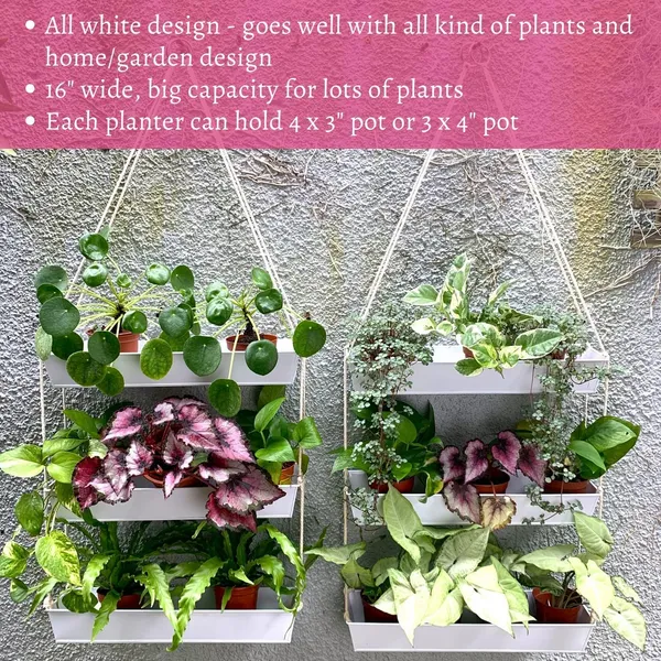 White_Wall_Planters_-_16_Inch_3-Tier_Galvanized_Wall-Mounted_Succulent_Planters_Boho_Metal_Window_Herb_Garden,_Rectangle_Hanging_Vertical_Shelf_Shower_Plant_Pot_11_x_6_x_16_Centimeters
