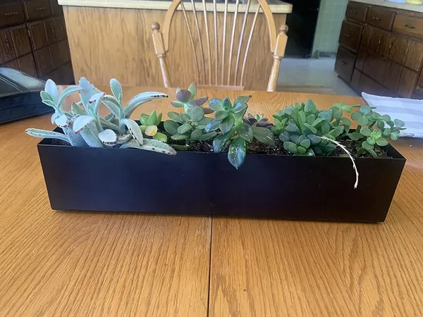 Black_Modern_Narrow_Planter_Box_|_16"_Metal_Perfect_As_A_Succulent_Planter_For_Table_Or_Window_Sill_Planters_Indoor_|_Rectangular_Stainless_Steel_Long_Planter____40L_x_8W_x_9H_Centimeters
