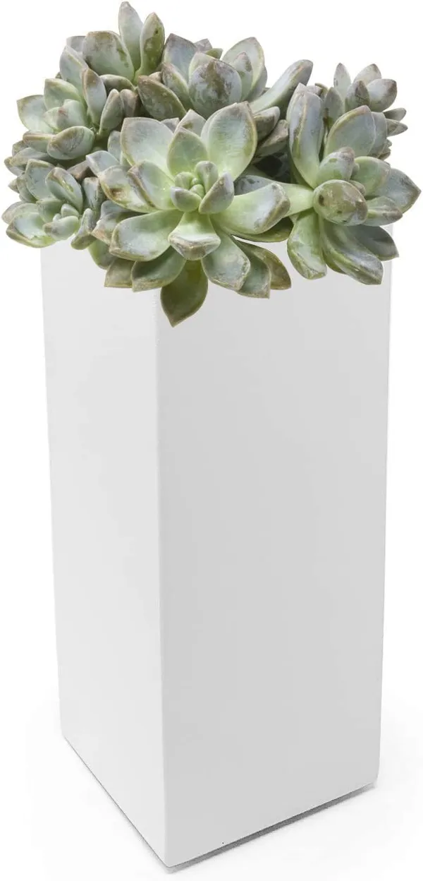 White_Modern_Square_Vase_Planter_Flower_Pots_Indoor_Desktop_Decorative_Art_Table_Vase_Tabletop_Entryway,_Bookshelf,_Wedding_Party_3.5"_X_3.5"_X_8''_Inch____8.9L_x_8.9W_x_20.3H_Centimeters