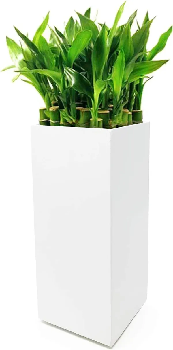 White_Modern_Square_Vase_Planter_Flower_Pots_Indoor_Desktop_Decorative_Art_Table_Vase_Tabletop_Entryway,_Bookshelf,_Wedding_Party_3.5"_X_3.5"_X_8''_Inch____8.9L_x_8.9W_x_20.3H_Centimeters