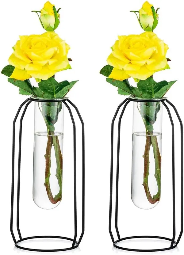 Black_2_Pcs_Flower_Vases_With_Iron_Art_Frame_Geometric_Plant_Pot,_Centerpiece_Plant_Vase,_Plants_Tabletop_Display_Holder_For_Wedding_Office_Living_Room_Decor_(2_X_L)10L_x_10W_x_23H_Centimeters