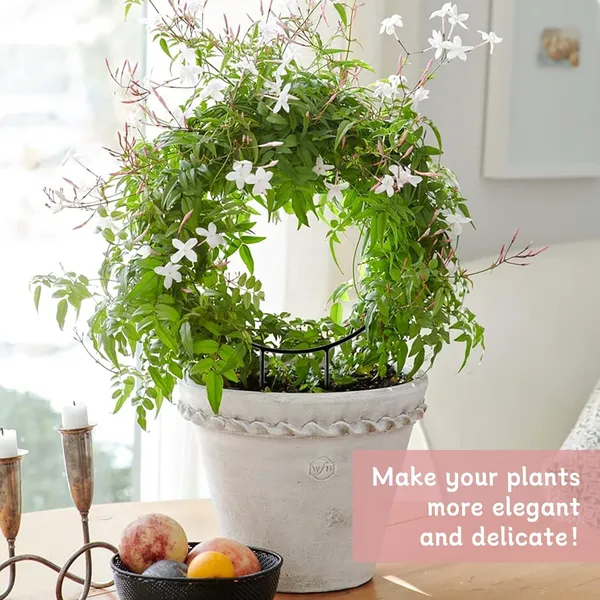 Black_Metal_Plant_Trellis_Climbing_Plants_Iron_Vine_Stem_Support_Wire_Plants_Climbing_Holder_Rack_Potted_Plants_Flowers_Indoor_Garden_Decor_(6_Circles)__25.4_x_1.3_x_33_Centimeters_500_g