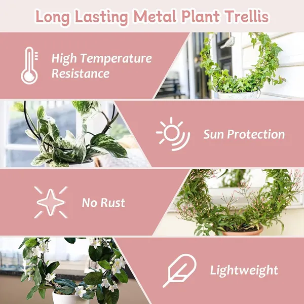 Black_Metal_Plant_Trellis_Climbing_Plants_Iron_Vine_Stem_Support_Wire_Plants_Climbing_Holder_Rack_Potted_Plants_Flowers_Indoor_Garden_Decor_(6_Circles)__25.4_x_1.3_x_33_Centimeters_500_g