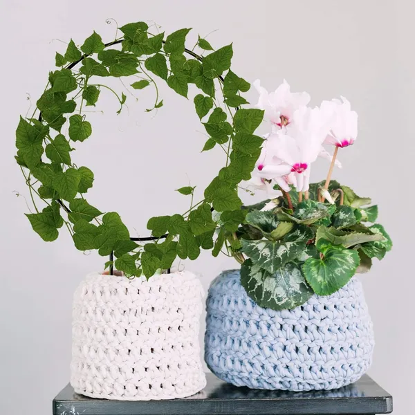 Black_Metal_Plant_Trellis_Climbing_Plants_Iron_Vine_Stem_Support_Wire_Plants_Climbing_Holder_Rack_Potted_Plants_Flowers_Indoor_Garden_Decor_(6_Circles)__25.4_x_1.3_x_33_Centimeters_500_g