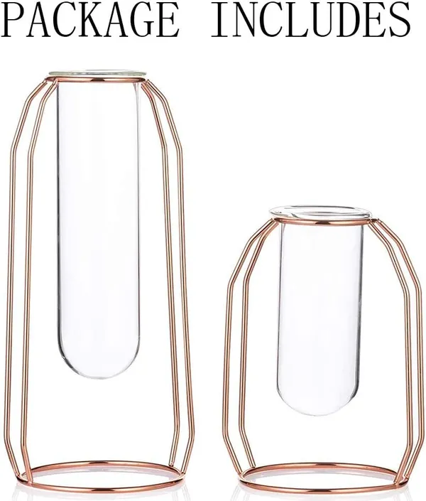 Rose_Gold_2_Pcs_Flower_Vases_With_Iron_Art_Frame_Geometric_Plant_Pot,_Centerpiece_Plant_Vase,_Plants_Tabletop_Display_Holder_For_Wedding_Indoor_TableLiving_Room_Decor_10L_x_10W_x_23H_Centimeters