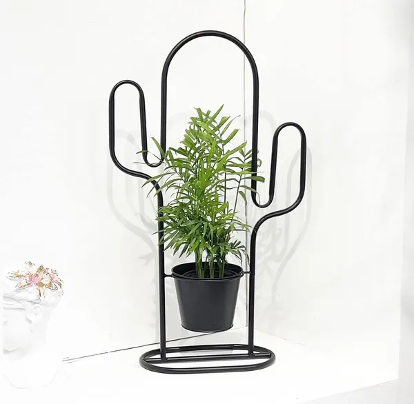 Black_Plant_Stand_With_Metal_Pot_Indoor_Plants,_Christmas_Plants,_Porch,_Tabletop,_Living_Room_(Cactus)_20_x_20_x_10_Centimeters