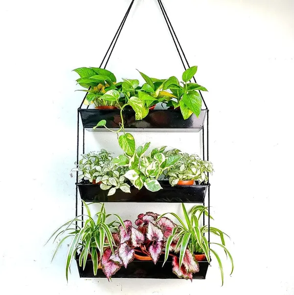 Black_Wall_Planters_-_16_Inch_3-Tier_Galvanized_Wall-Mounted_Succulent_Planters_For_Indoor_Plants,_Boho_Metal_Window_Herb_Garden,_Rectangle_Hanging_Vertical_Shelf_11L_x_6W_x_16H_Centimeters