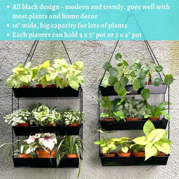 Black_Wall_Planters_-_16_Inch_3-Tier_Galvanized_Wall-Mounted_Succulent_Planters_For_Indoor_Plants,_Boho_Metal_Window_Herb_Garden,_Rectangle_Hanging_Vertical_Shelf_11L_x_6W_x_16H_Centimeters