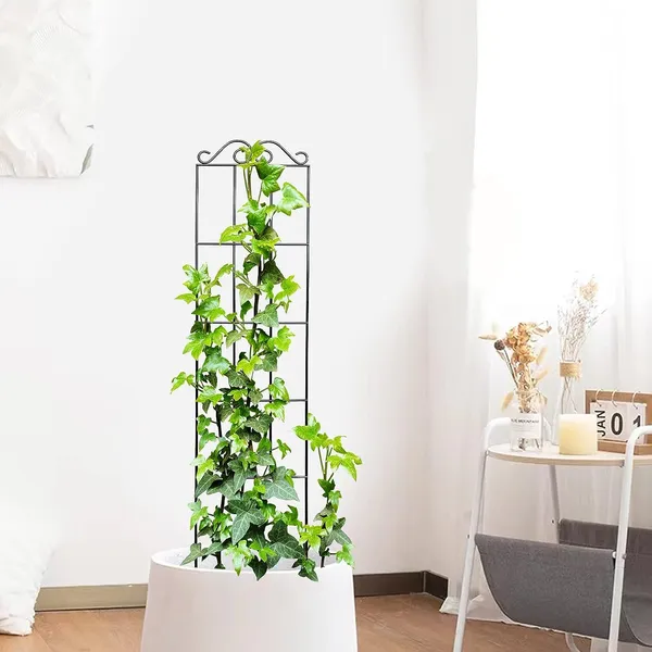 Black_30''_Metal_Garden_Trellis_For_Climbing_Plants,(Pack_Of_2)_Indoor/Outdoor_Sturdy_Plant_Trellis_For_Potted_Plants,House_Plants,_Climbing_Vines_(2)____20W_x_70H_Centimeters