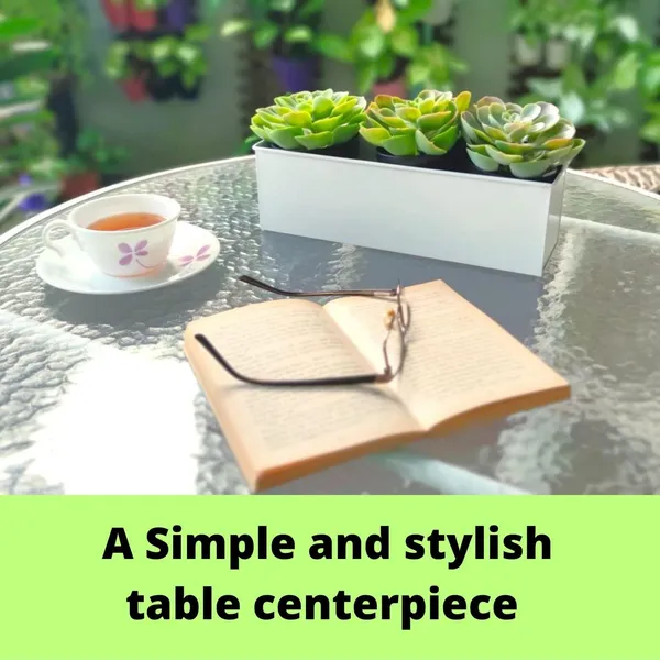 White_Wall_Planter_3_Pack_12_Inch_Large_Wall_Mount_Succulent_Planters_Black_Rectangle_Metal_Flower_Pot_Window_Planter_Box_Fence_Shelve_Indoor_Outdoor_10L_x_30W_x_9H_Centimeters