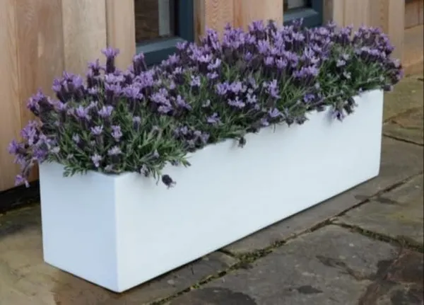 Black_Plant_Store_Modern_Rectangle_Planter_Box_-_20"_Metal_Planter_Ideal_For_Long_Succulents_|_Rectangular_Table_Or_Window_Sill_Planters_For_Indoor_Use_50L_x_20W_x_20H_Centimeters