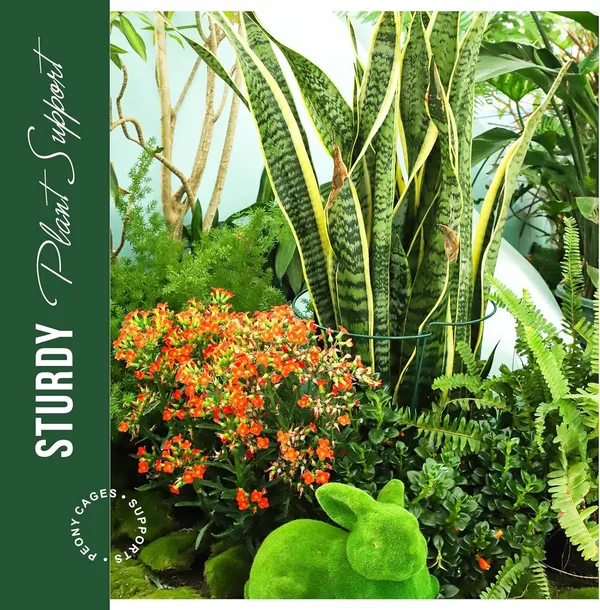Green_Plant_Support_Stakes,_4_Pcs_Peony_Cages_And_Supports,_Plant_Support,_Plant_Stakes_For_Indoor_Plants,_Outdoor_Plants,_Garden_Stakes,_Peony_Tomato_Plant_(3)_12L_x_40W_Centimeters