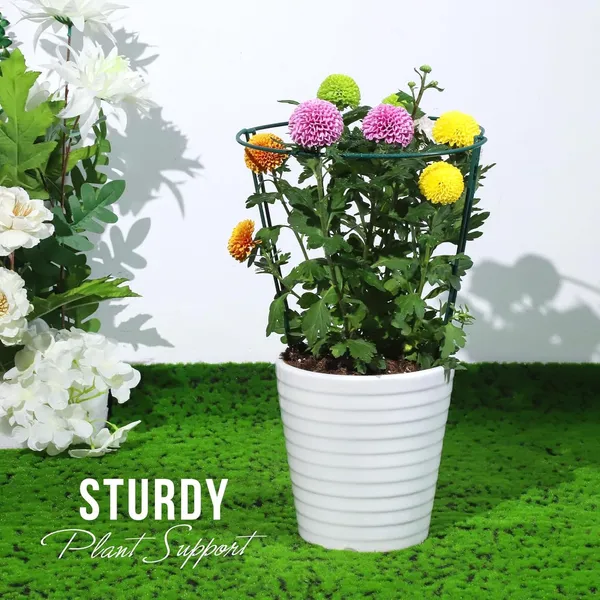 Green_Plant_Support_Stakes,_4_Pcs_Peony_Cages_And_Supports,_Plant_Support,_Plant_Stakes_For_Indoor_Plants,_Outdoor_Plants,_Garden_Stakes,_Peony_Tomato_Plant_(3)_12L_x_40W_Centimeters
