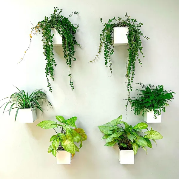 White_Wall_Planter_6-Pack_4_Inch_Square_Metal_Wall_Planters_For_Indoor_And_Outdoor_Plants,_Small_White_Hanging_Flower_Pots_For_Balcony,_Herb_Garden_Decor10L_x_10W_x_10H_Centimeters