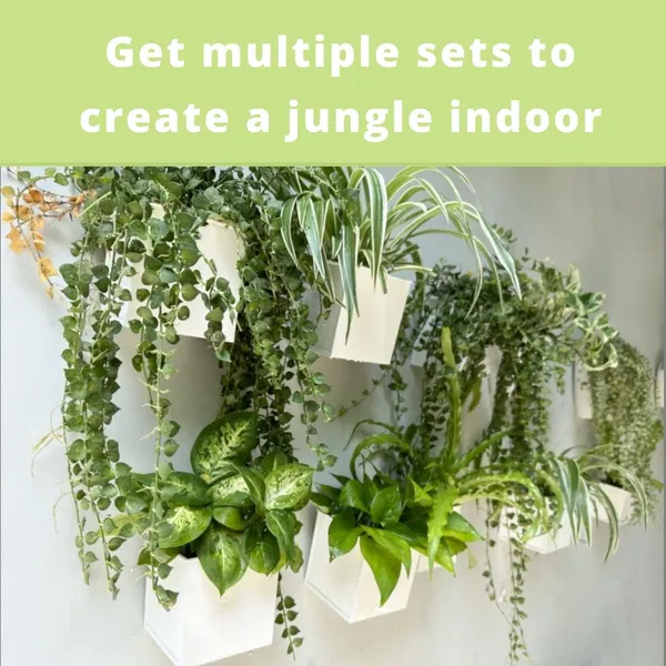 White_Wall_Planter_6-Pack_4_Inch_Square_Metal_Wall_Planters_For_Indoor_And_Outdoor_Plants,_Small_White_Hanging_Flower_Pots_For_Balcony,_Herb_Garden_Decor10L_x_10W_x_10H_Centimeters