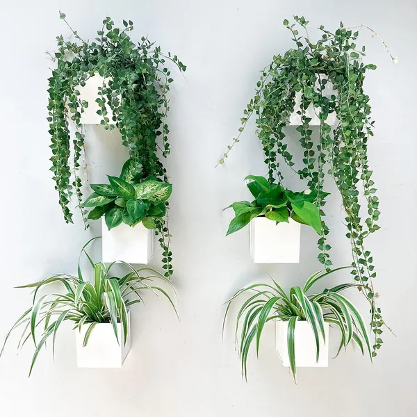 White_Wall_Planter_6-Pack_4_Inch_Square_Metal_Wall_Planters_For_Indoor_And_Outdoor_Plants,_Small_White_Hanging_Flower_Pots_For_Balcony,_Herb_Garden_Decor10L_x_10W_x_10H_Centimeters
