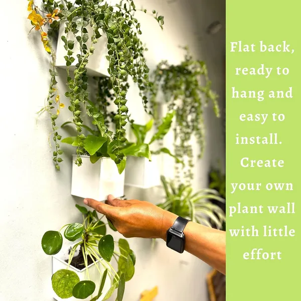 White_Wall_Planter_6-Pack_4_Inch_Square_Metal_Wall_Planters_For_Indoor_And_Outdoor_Plants,_Small_White_Hanging_Flower_Pots_For_Balcony,_Herb_Garden_Decor10L_x_10W_x_10H_Centimeters