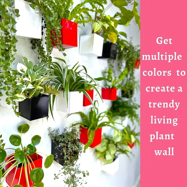 White_Wall_Planter_6-Pack_4_Inch_Square_Metal_Wall_Planters_For_Indoor_And_Outdoor_Plants,_Small_White_Hanging_Flower_Pots_For_Balcony,_Herb_Garden_Decor10L_x_10W_x_10H_Centimeters