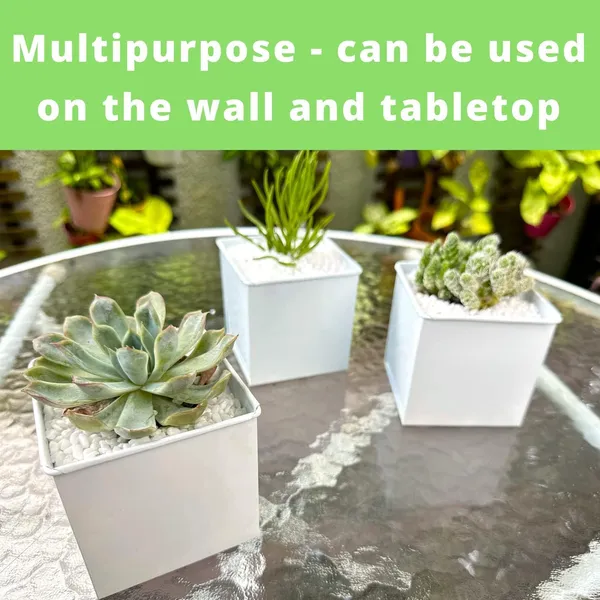 White_Wall_Planter_6-Pack_4_Inch_Square_Metal_Wall_Planters_For_Indoor_And_Outdoor_Plants,_Small_White_Hanging_Flower_Pots_For_Balcony,_Herb_Garden_Decor10L_x_10W_x_10H_Centimeters