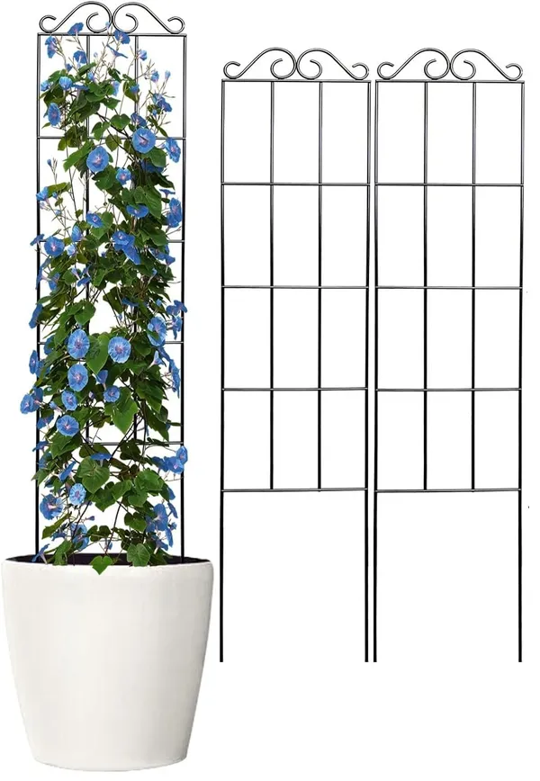 Multicolor_30''_Metal_Garden_Trellis_For_Climbing_Plants,(Pack_Of_1)_Indoor/Outdoor_Sturdy_Plant_Trellis_For_Potted_Plants,House_Plants,_Climbing_Vines_(1)____20W_x_70H_Centimeters
