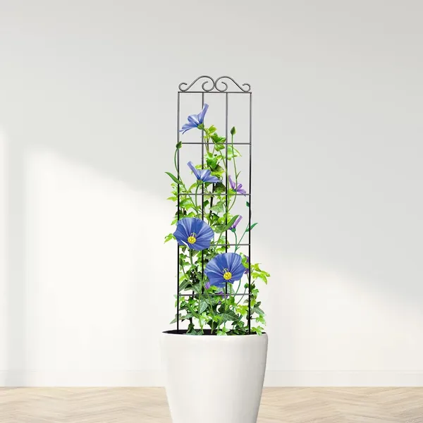Multicolor_30''_Metal_Garden_Trellis_For_Climbing_Plants,(Pack_Of_1)_Indoor/Outdoor_Sturdy_Plant_Trellis_For_Potted_Plants,House_Plants,_Climbing_Vines_(1)____20W_x_70H_Centimeters