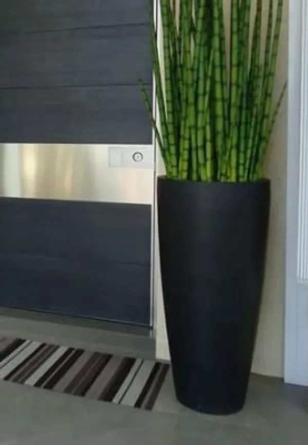 Black_Plant_Store_Metal_Tall_Planters_Outdoor_Indoor_-_20_Inch_Modern_Flower_Pots_For_Balcony_Deck_Large_Planters_For_Outdoor_Indoor_Garden_Patio_(1_Pcs)30L_x_30W_x_50H_Centimeters