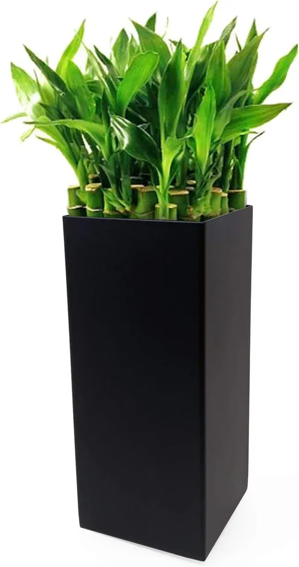 Black_Modern_Square_Vase_Planter_Flower_Pots_Indoor_Desktop_Plant_Holder_Centerpieces_Decorative_Art_Table_Vase_Tabletop_Entryway,_Bookshelf_3.5"_X_3.5"_X_8''_Inch____8.9L_x_8.9W_x_20.3H_Centimeters