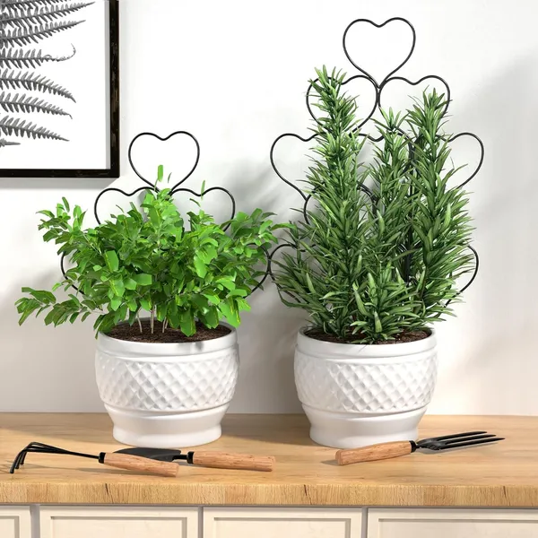 Black_Trellis_For_Climbing_Plants_Outdoor_Indoor,_3_Pack_Stackable_Garden_Trellis_For_Potted_Plants,_Small_Houseplant_Metal_Wire_Trellis_For_Vine_Ivy_Flower_Plant_Support___30W_x_35H_Centimeters