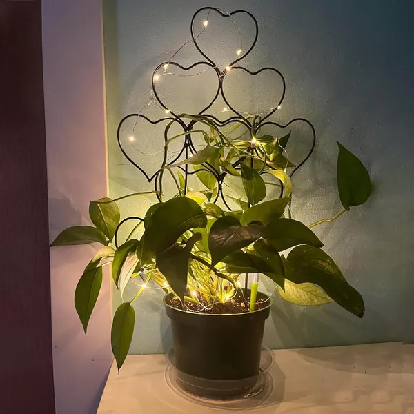 Black_Trellis_For_Climbing_Plants_Outdoor_Indoor,_3_Pack_Stackable_Garden_Trellis_For_Potted_Plants,_Small_Houseplant_Metal_Wire_Trellis_For_Vine_Ivy_Flower_Plant_Support___30W_x_35H_Centimeters