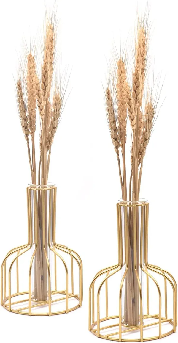 Gold_Flower_Vases_With_Iron_Art_Frame,_Metal_Flower_Vase,Iron_Art_Flower_Vase,_Clear_Vase_Decorative_For_Living_Room_Wedding_Holiday_Party_(Gold_-_2Pcs)____10L_x_10W_x_15H_Centimeters