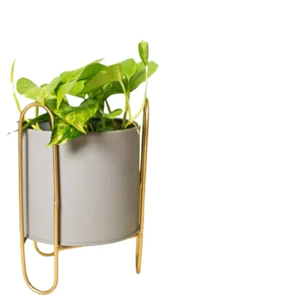 Grey_Rust_Free_Decorative_Table_Top_Mini_Plant_Stand_For_Artificial_Or_Natural_Iron_Plants_For_Indoor_Outdoor_Home_And_Garden_Decor_17_x_17_x_24_Centimeters
