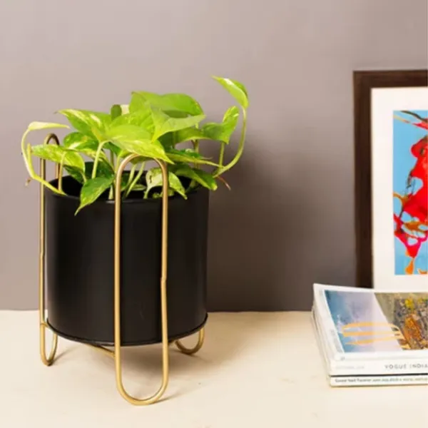 Grey_Rust_Free_Decorative_Table_Top_Mini_Plant_Stand_For_Artificial_Or_Natural_Iron_Plants_For_Indoor_Outdoor_Home_And_Garden_Decor_17_x_17_x_24_Centimeters