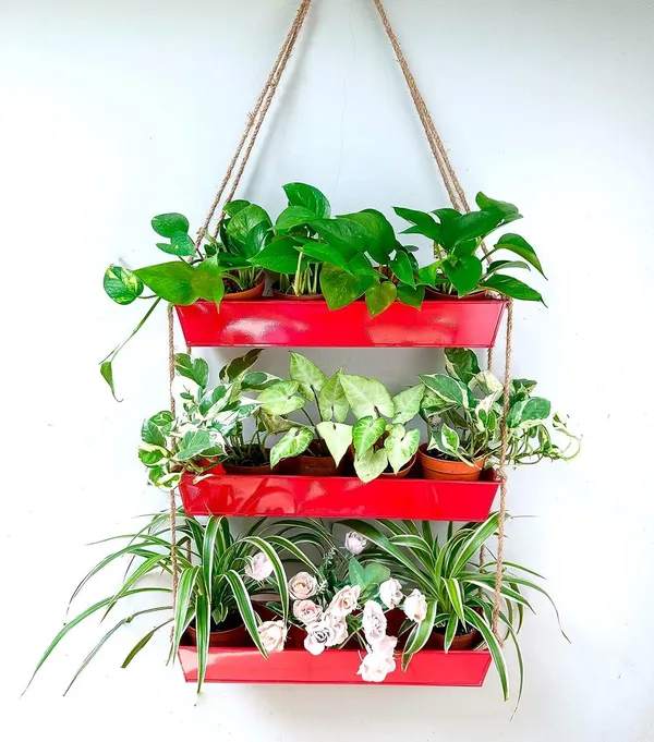 Red_Wall_Planters_-_16_Inch_3-Tier_Galvanized_Wall-Mounted_Succulent_Boho_Metal_Window_Herb_Garden,_Rectangle_Hanging_Vertical_Shelf_Shower_Plant_Pot____11L_x_6W_x_16H_Centimeters