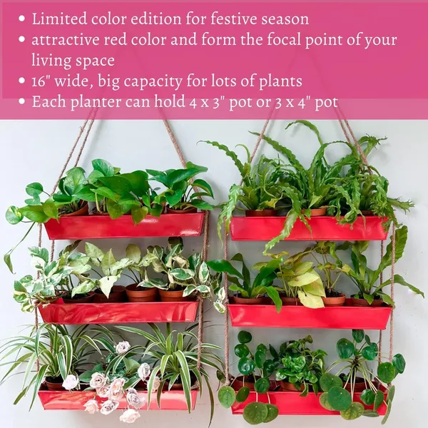 Red_Wall_Planters_-_16_Inch_3-Tier_Galvanized_Wall-Mounted_Succulent_Boho_Metal_Window_Herb_Garden,_Rectangle_Hanging_Vertical_Shelf_Shower_Plant_Pot____11L_x_6W_x_16H_Centimeters