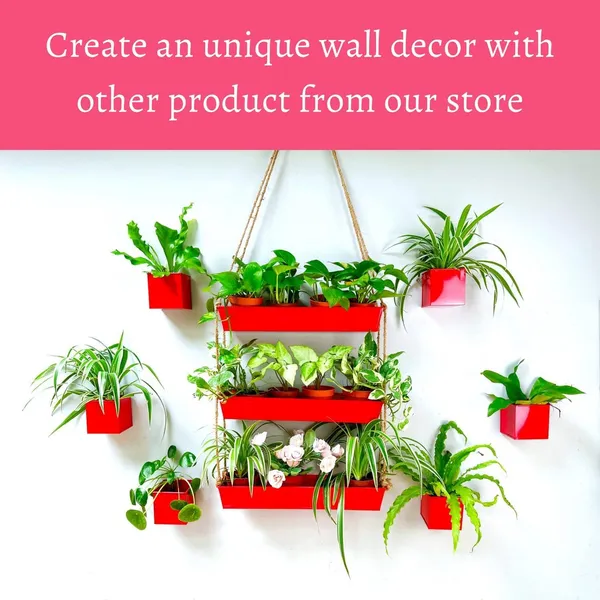 Red_Wall_Planter_6-Pack_-_4_Inch_Square_Metal_Wall_Planters_For_Indoor_And_Outdoor_Plants,_Small_White_Hanging_Flower_Pots_For_Balcony,_Herb_Garden_Decor,_Patio_10L_x_10W_x_10H_Centimeters