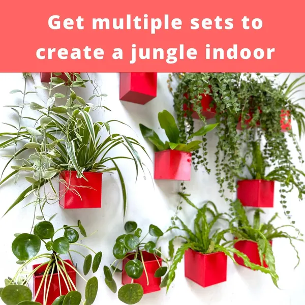 Red_Wall_Planter_6-Pack_-_4_Inch_Square_Metal_Wall_Planters_For_Indoor_And_Outdoor_Plants,_Small_White_Hanging_Flower_Pots_For_Balcony,_Herb_Garden_Decor,_Patio_10L_x_10W_x_10H_Centimeters