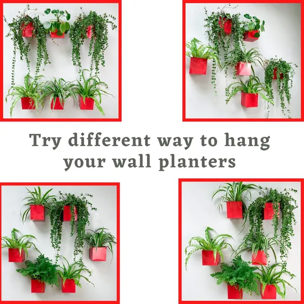 Red_Wall_Planter_6-Pack_-_4_Inch_Square_Metal_Wall_Planters_For_Indoor_And_Outdoor_Plants,_Small_White_Hanging_Flower_Pots_For_Balcony,_Herb_Garden_Decor,_Patio_10L_x_10W_x_10H_Centimeters