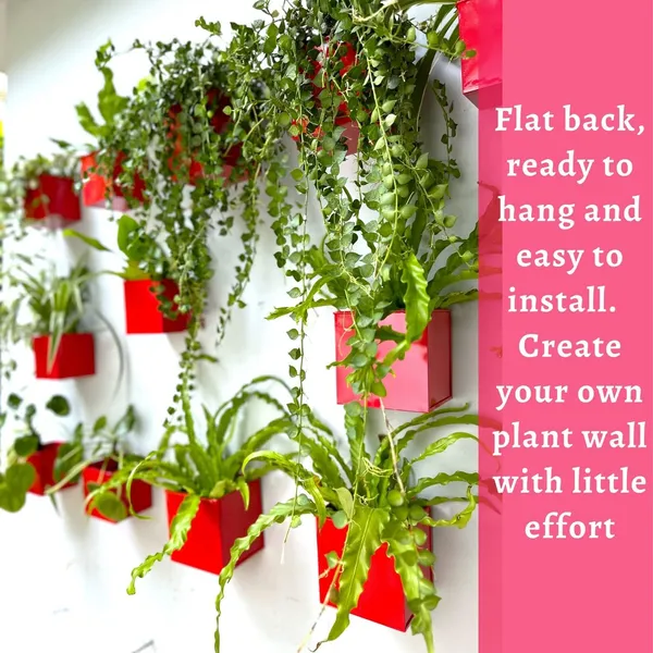 Red_Wall_Planter_6-Pack_-_4_Inch_Square_Metal_Wall_Planters_For_Indoor_And_Outdoor_Plants,_Small_White_Hanging_Flower_Pots_For_Balcony,_Herb_Garden_Decor,_Patio_10L_x_10W_x_10H_Centimeters
