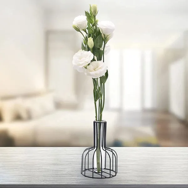 Black_Flower_Vases_With_Iron_Art_Frame,_Metal_Flower_Vase,_Test_Tube_Vase,_Iron_Art_Flower_Vase,_Clear_Vase_Decorative_For_Living_Room_(2Pcs)____10L_x_10W_x_15H_Centimeters